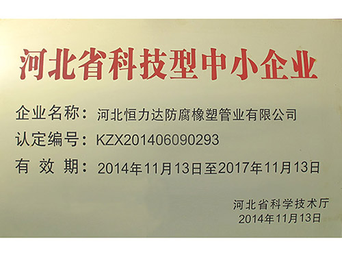 科技型中小企业